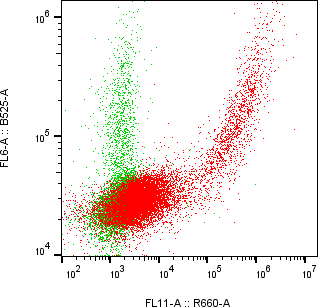 Rabbit-anti CD244 monoclonal antibody