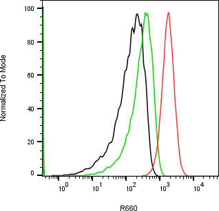 Rabbit-anti PNLIP monoclonal antibody