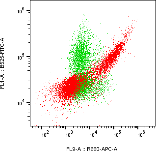 Rabbit-anti CD52 monoclonal antibody