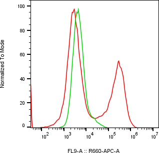 Rabbit-anti CD52 monoclonal antibody