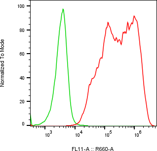 Rabbit-anti PLAU monoclonal antibody