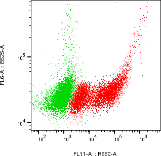 Rabbit-anti FCGR3A monoclonal antibody