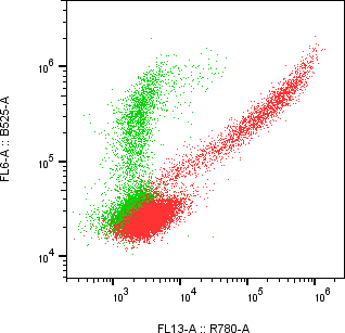 Rabbit-anti SERPINA1 monoclonal antibody