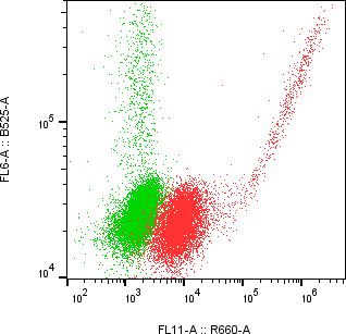 Rabbit-anti CD84 monoclonal antibody