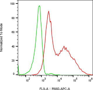 Rabbit-anti NCR2 monoclonal antibody