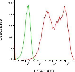 Rabbit-anti CST6 monoclonal antibody