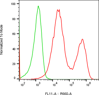 Rabbit-anti CFHR2 monoclonal antibody