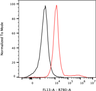 Rabbit-anti KIRREL1 monoclonal antibody
