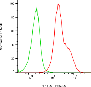 Rabbit-anti MFAP3 monoclonal antibody
