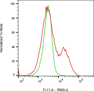 Rabbit-anti PRSS35 monoclonal antibody