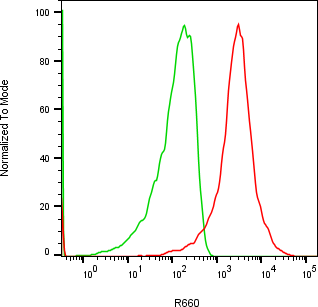 Rabbit-anti CD71 monoclonal antibody