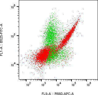 Rabbit-anti CD52 monoclonal antibody