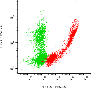 Rabbit-anti TYRO3 monoclonal antibody