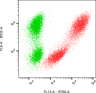 Rabbit-anti CXCL5 monoclonal antibody