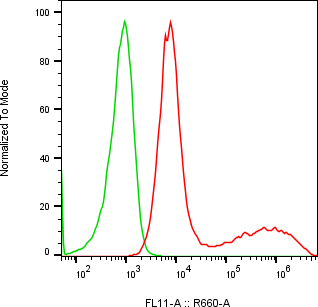 Rabbit-anti CD300LG monoclonal antibody