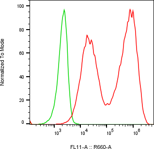 Rabbit-anti KLK6 monoclonal antibody