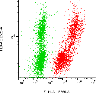 Rabbit-anti TIMP1 monoclonal antibody