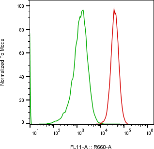 Rabbit-anti LTBR monoclonal antibody
