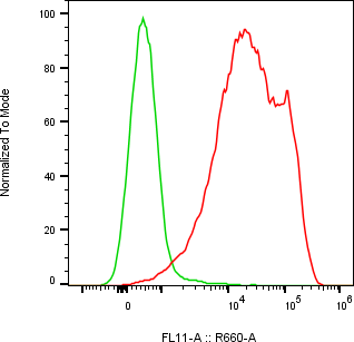 Rabbit-anti CD84 monoclonal antibody