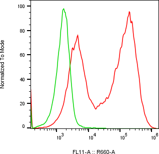 Rabbit-anti LCN12 monoclonal antibody