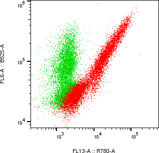 Rabbit-anti VEGFC monoclonal antibody