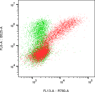 Rabbit-anti NRG1-&beta;1-EGF monoclonal antibody
