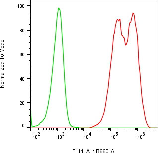 Rabbit-anti FXYD5 monoclonal antibody