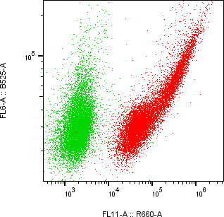 Rabbit-anti CPXM2 monoclonal antibody