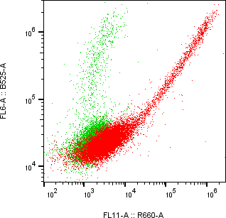 Rabbit-anti BPIFA2 monoclonal antibody