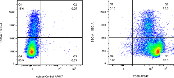 Rabbit-anti CD28 monoclonal antibody