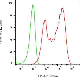 Rabbit-anti MATN4 monoclonal antibody