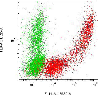 Rabbit-anti DEFA3 monoclonal antibody