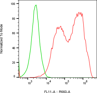 Rabbit-anti ORM2 monoclonal antibody