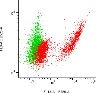 Rabbit-anti SLITRK6 monoclonal antibody