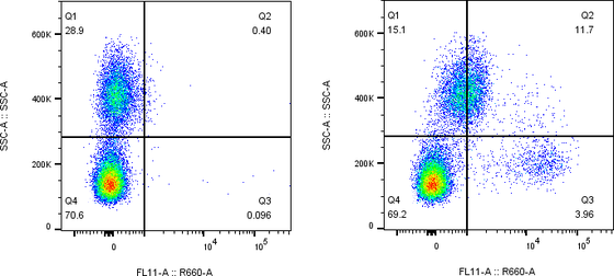 Rabbit-anti FCER1A monoclonal antibody