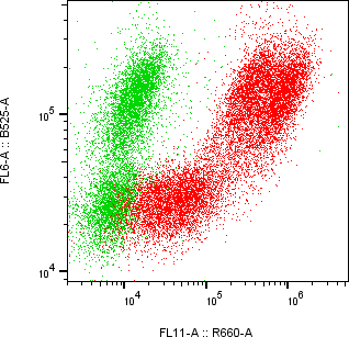 Rabbit-anti CSH2 monoclonal antibody