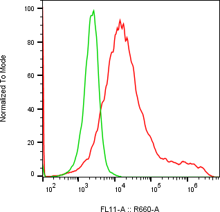 Rabbit-anti NPTN monoclonal antibody