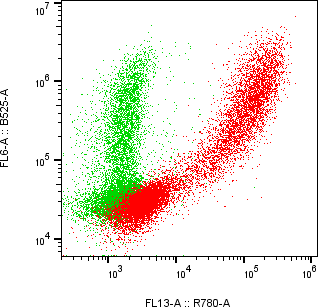 Rabbit-anti VSIG4 monoclonal antibody