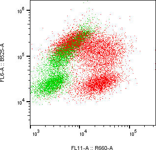 Rabbit-anti CCL23 monoclonal antibody