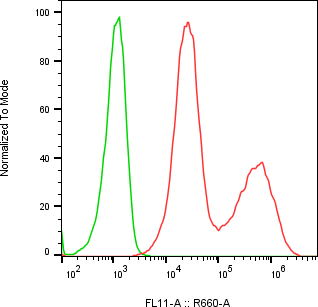 Rabbit-anti IGSF8 monoclonal antibody