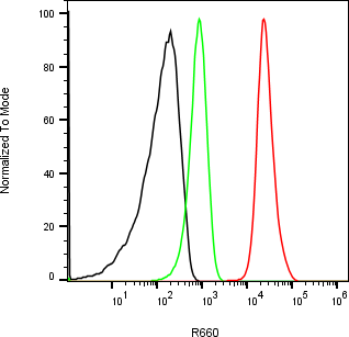 Rabbit-anti CA9 monoclonal antibody