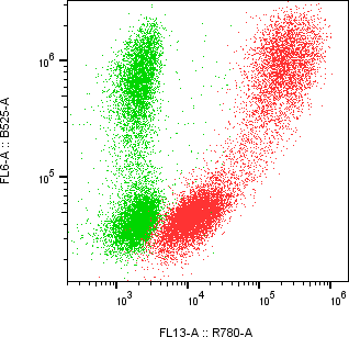 Rabbit-anti TFF1 monoclonal antibody