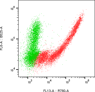 Rabbit-anti C1QTNF1 monoclonal antibody