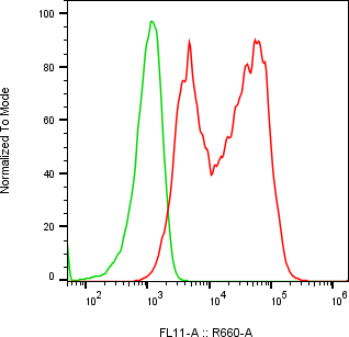 Rabbit-anti MATN4 monoclonal antibody