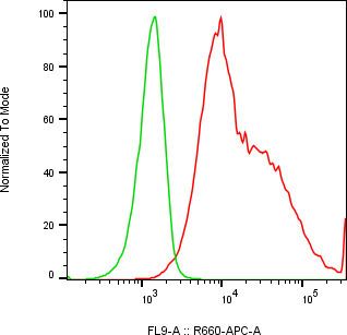 Rabbit-anti RBP3 monoclonal antibody