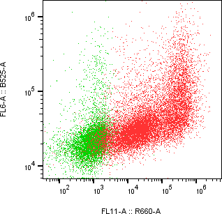 Rabbit-anti SEMA4B monoclonal antibody