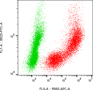 Rabbit-anti PTGDS monoclonal antibody