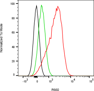 Rabbit-anti TYRO3 monoclonal antibody