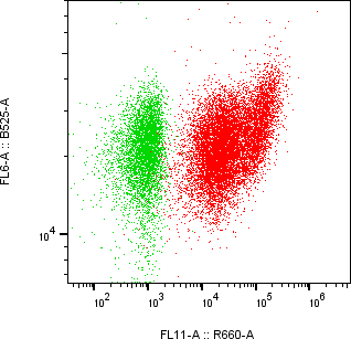 Rabbit-anti CHGA monoclonal antibody