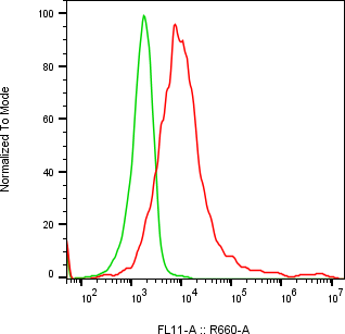 Rabbit-anti GPNMB monoclonal antibody